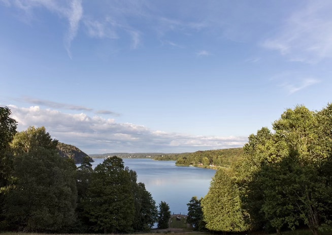 Foto på vatten och skog