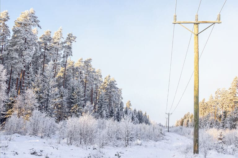 Tillfälligt elstöd– så fungerar det
