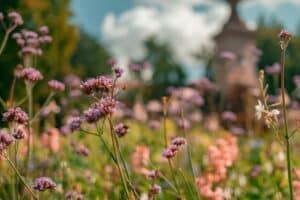 Från gräs och grus till blommande liv vid kraftverket i Jonsered